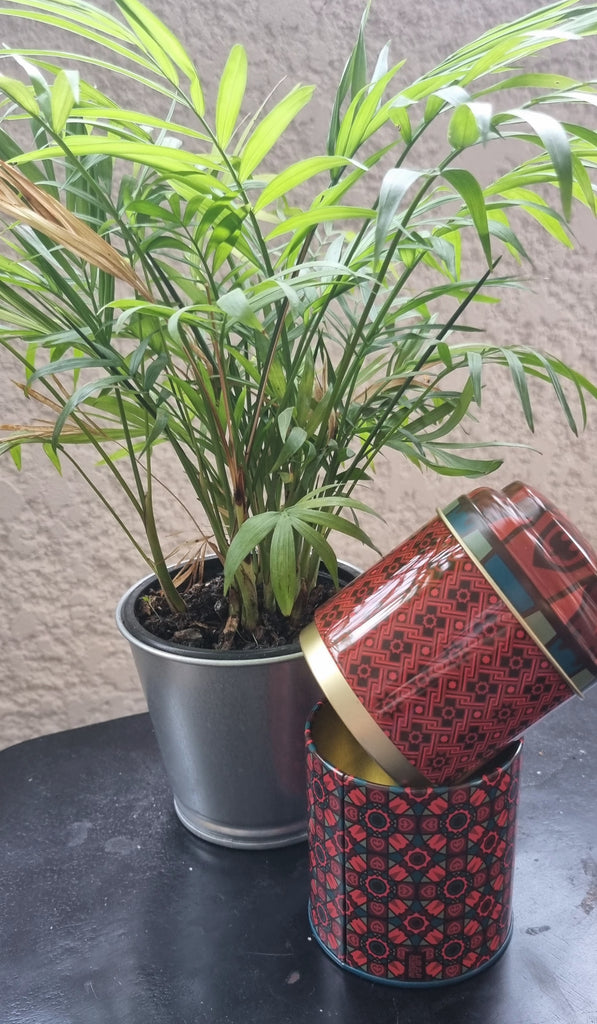 Boîte à deux étages "Kalea" Images d'Orient | Boîte à thé | Morgane café MHD