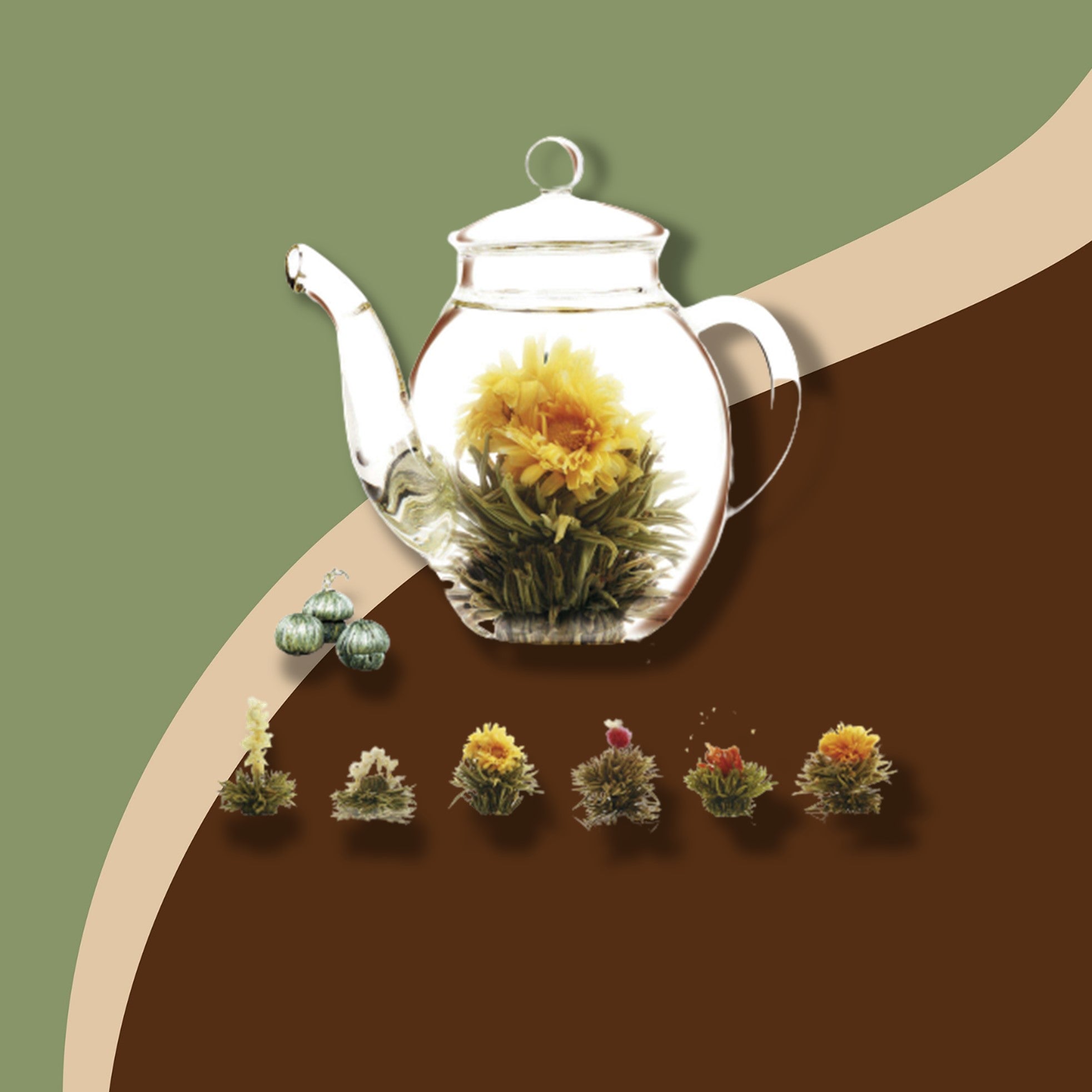 1 fleur de thé vert Abloom Créano – Morgane café MHD - Dé